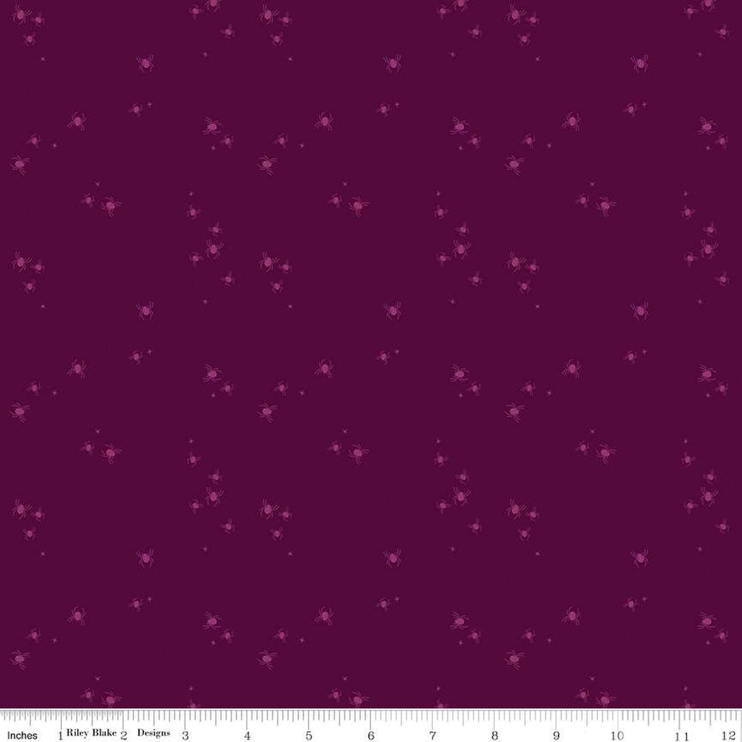 Little Witch - Spider Dots, Purple - C14566-PURPLE