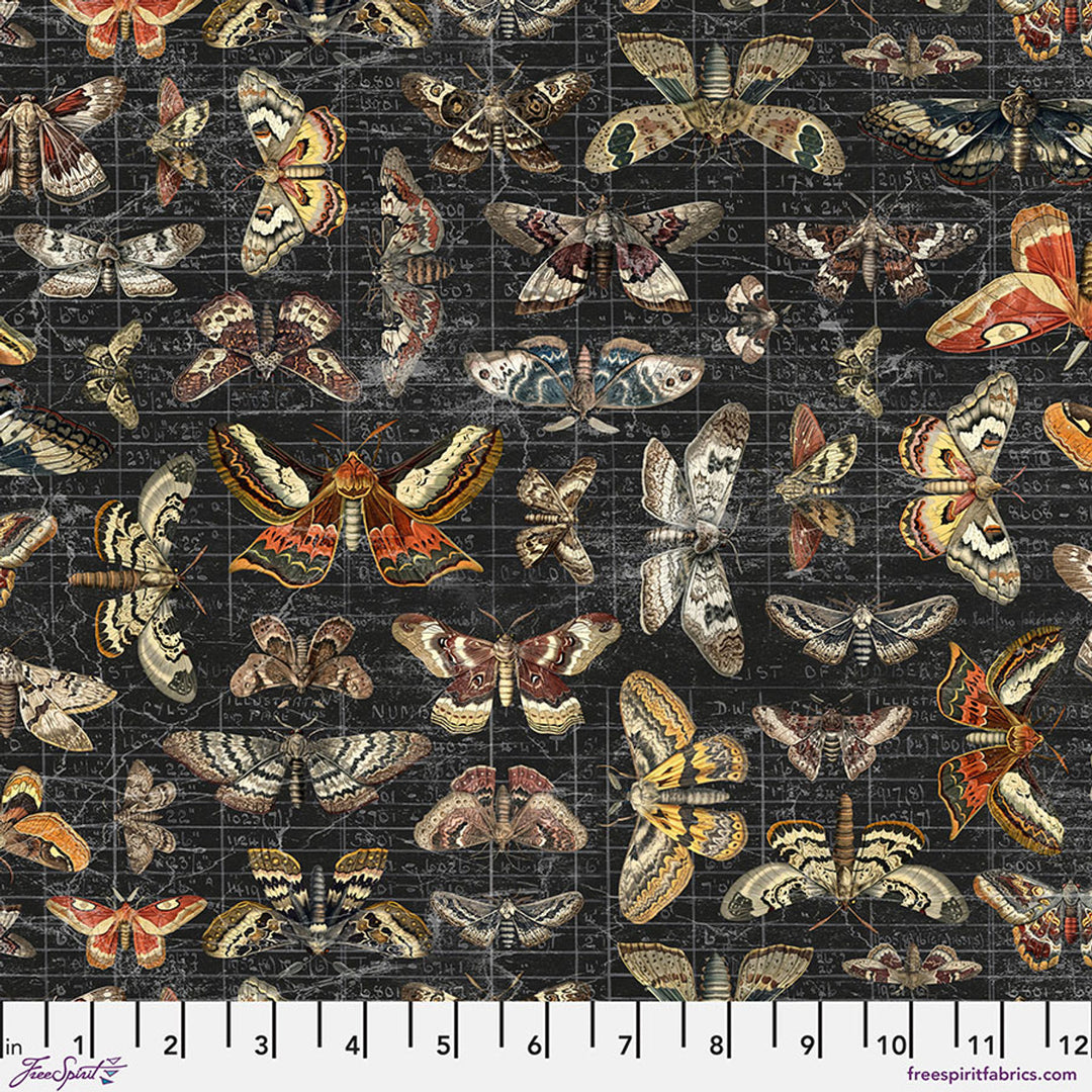 Palette Seasonal Collection - Halloween Moth Study, Halloween - PWTH333.HALLOWEEN