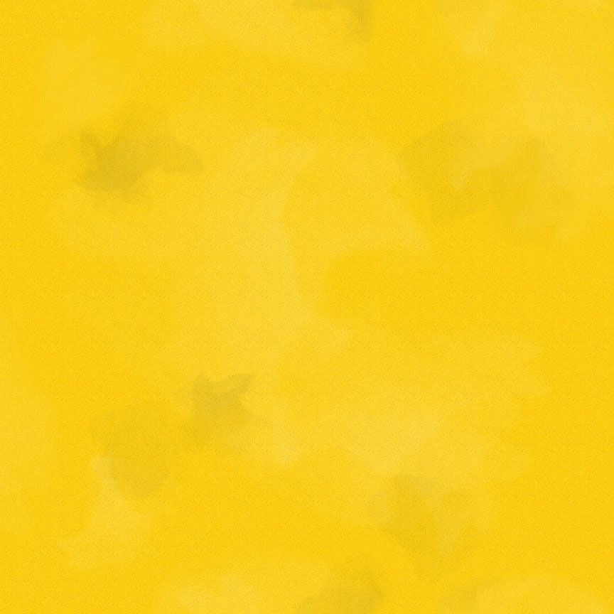 Colorstock - Brushstroke, Lion - JN-C2970 LION