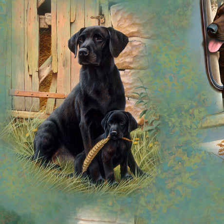 For the Love of Labs - Labrador Vignettes, Sage - 30308-H