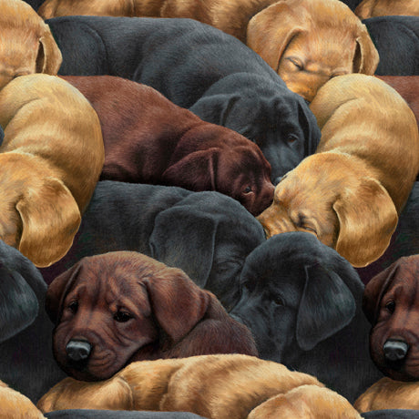 For the Love of Labs - Packed Labs, Multi - 30309 -X