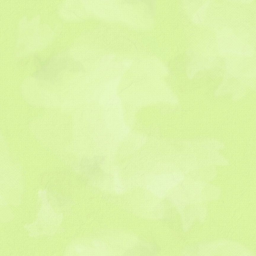 Colorstock - Brushstroke, Aloe - JN-C2970 ALOE