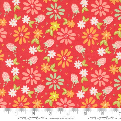 Raspberry Summer - Spring Berries, Raspberry - 37690-13