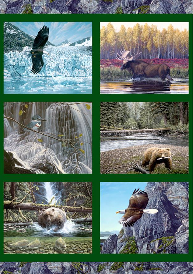Panel 438 - Nature's Odyssey - Scenes From Nature