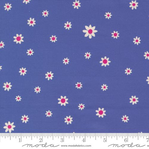 Maeve - Daisy Dot, Periwinkle - 11938-13
