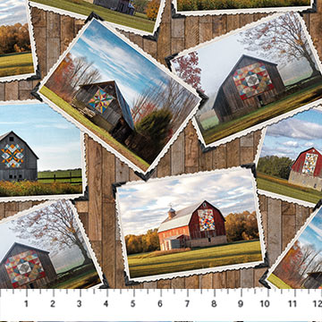 Barn Quilts - Barn Blocks, Brown Multi - DP27315-36