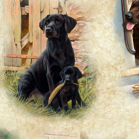 For the Love of Labs - Labrador Vignettes, Cream - 30308-A