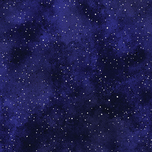 New Hue Metallic in Navy/Silver