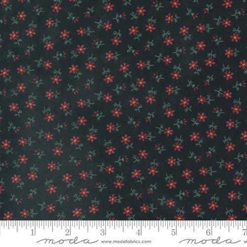 Daisy Lane - Daisys, Mulch - 9763-19
