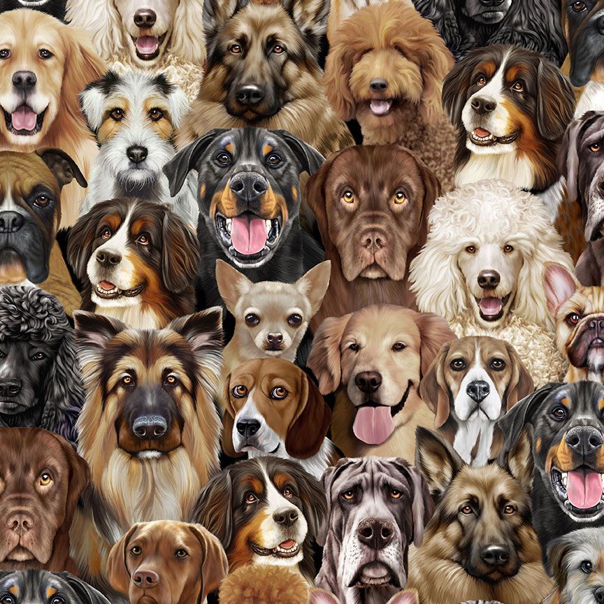 Happiness Has Paws - Packed Dogs Portrait, Natural - Michael-CD2947