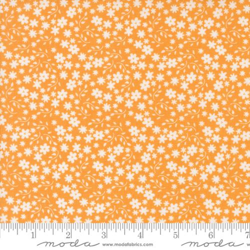 Raspberry Summer - Blossom, Apricot - 37693-14