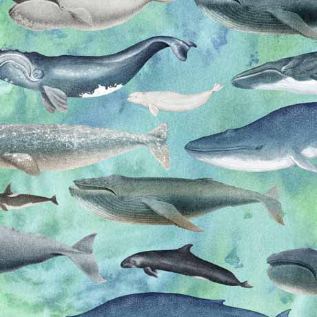 Siren's Call - Whales - 29993 - Q
