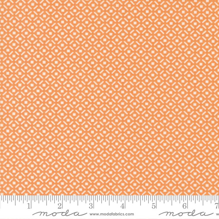 Harvest Moon - Harvest Moon Harlequin, Pumpkin - 20474 14