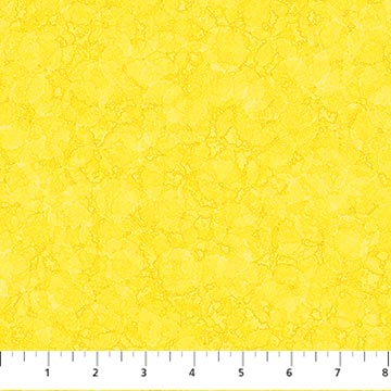 Luminous - Daffodil - 10429-50 - Patrick Lose