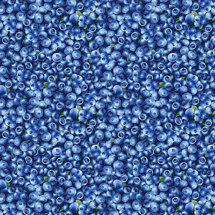 Fruit - Packed Blueberries CD1748
