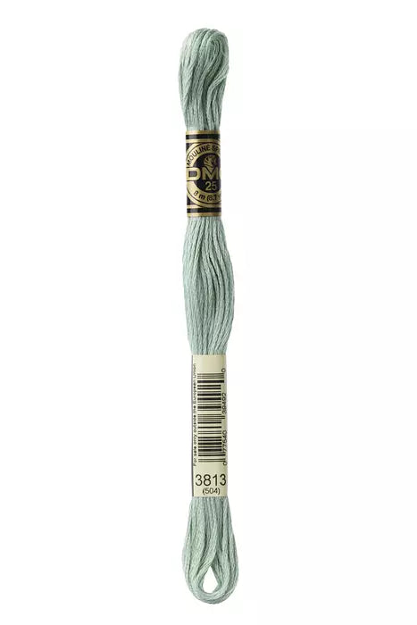 DMC 6 Strand Embroidery Floss - 3813 Lichen Green