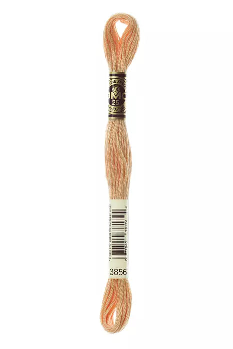 DMC 6 Strand Embroidery Floss - 3856 Buff