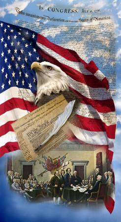 Panel 158 - We The People - Americana Panel
