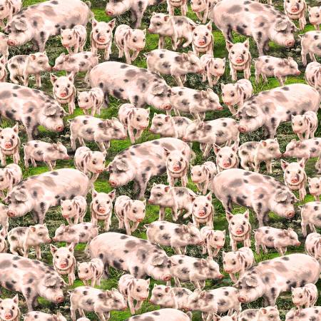 Farm Life - Allover Pigs - Dona-C8338 MULTI