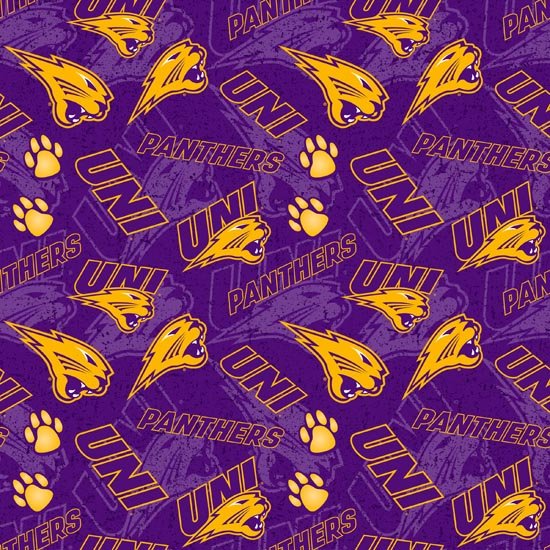UNI Panthers