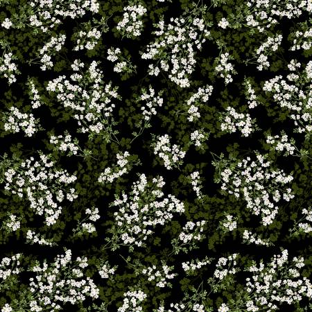 Daisy Delight - Black Wild Flower Romance