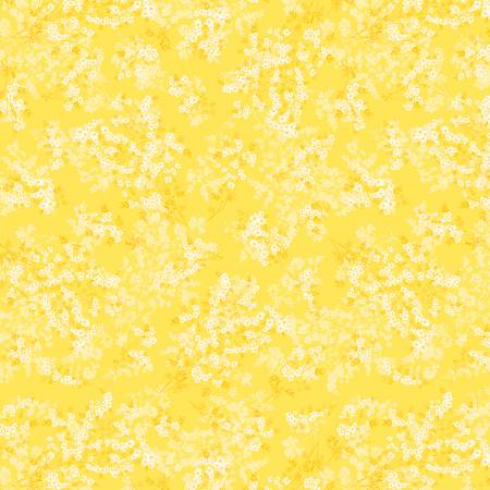 Daisy Delight - Yellow Wild Flower Romance