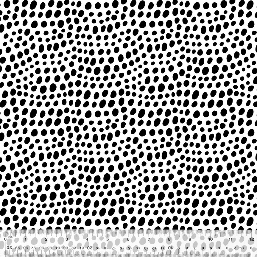 First Look - Spots - 53450-1 Black on White