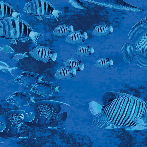 Oceana - Deep Sea Cobalt Blue