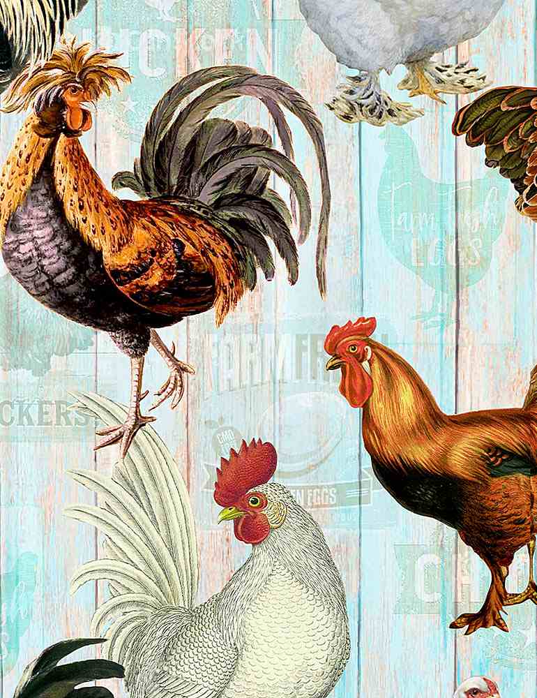 Farm Fresh - Chickens on Faded Fence - FARM-CD1532 MULTI