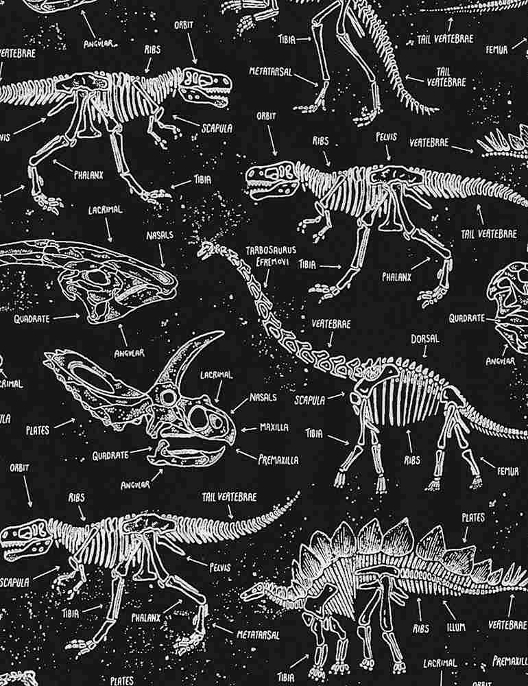 Glow in the Dark Dinosaur Skeletons CG5797