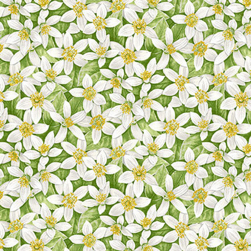 Fresh Picked Lemons - Packed Lemon Flowers - 592-60 Green