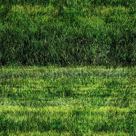 Earthly Delights - Grassy Field, Green - 31293-G