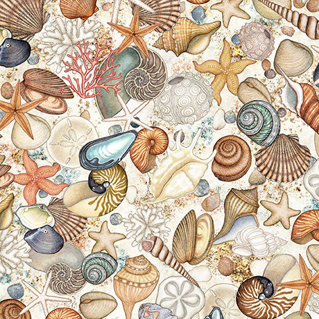 Nauticus - Shells, Cream - 32054-E