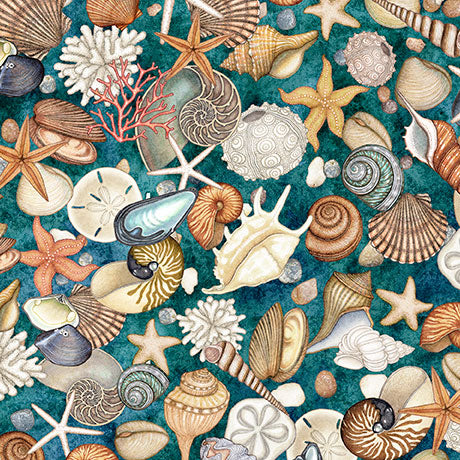 Nauticus - Shells, Teal - 32054-Q