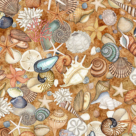Nauticus - Shells, Honey - 32054-S