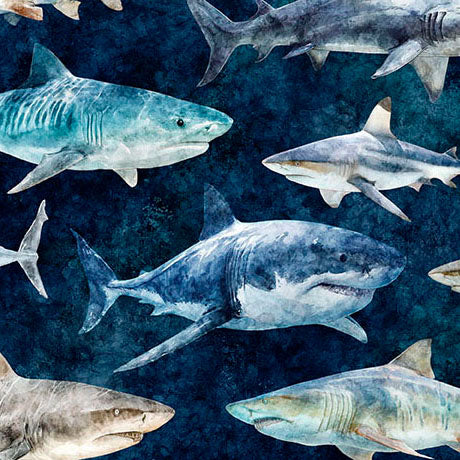 Into the Deep - Sharks, Mediterranean - 32219-N