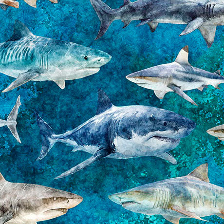 Into the Deep - Sharks, Turquoise - 32219-Q