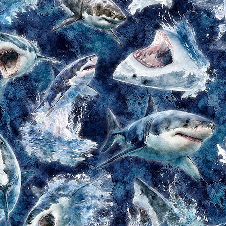 Into the Deep - Great Whites, Mediterranean - 32220-N