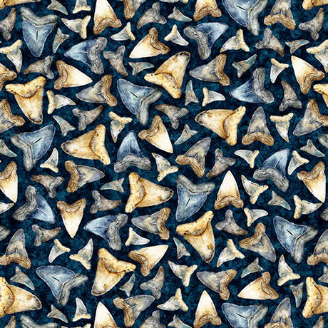 Into the Deep - Shark Teeth, Mediterranean - 32224-N