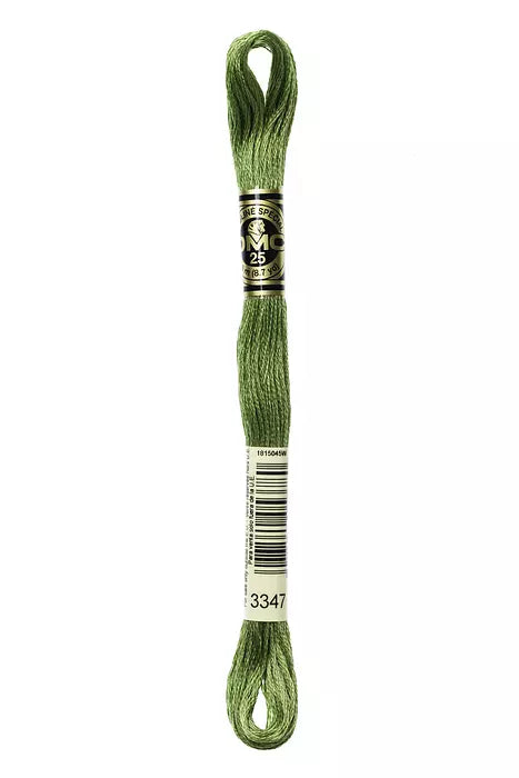 DMC 6 Strand Embroidery Floss - 3347 Asparagus