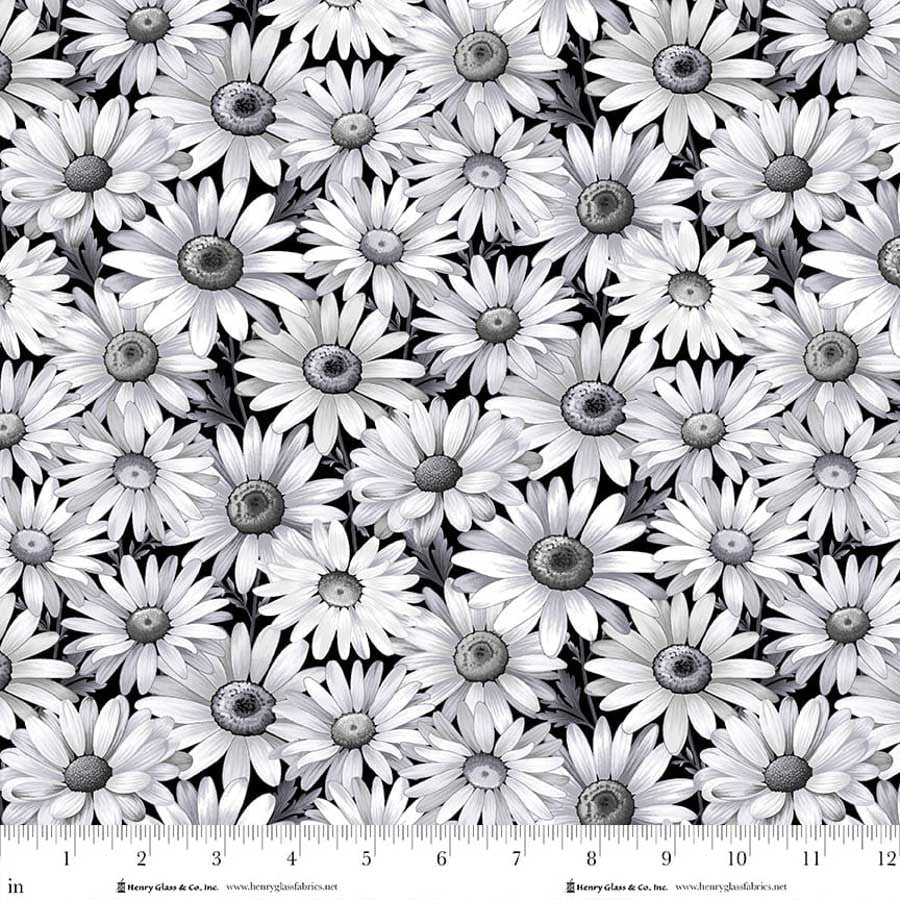 Scarlet's Treasure - Daisies, Black - 3641-99