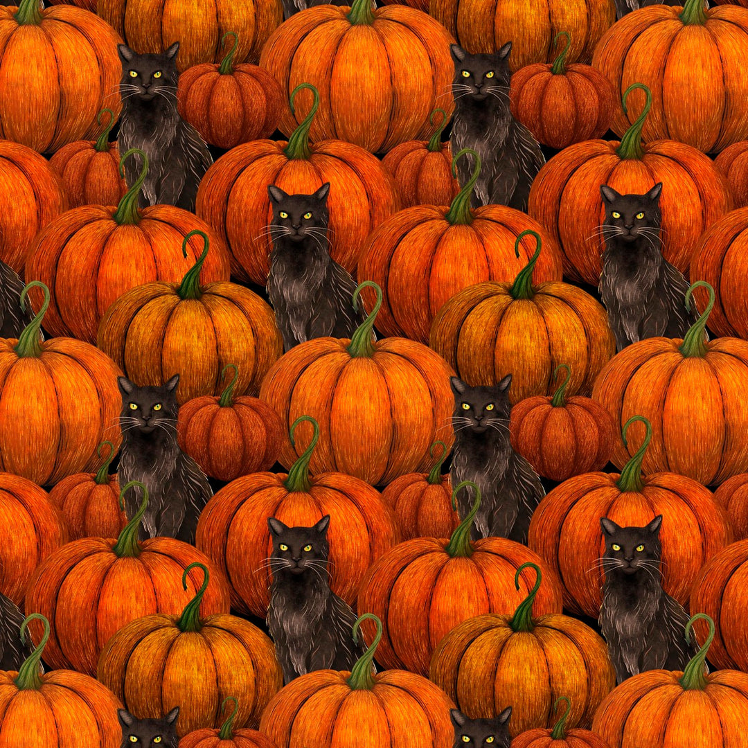 Harvest Haunt - Pumpkins and Black Cats, Orange - 4813-33