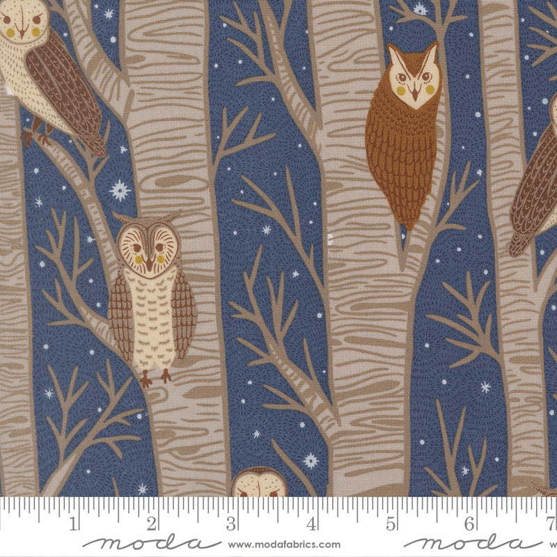 Night Owl - Night Owl, Dusk - 48420-14