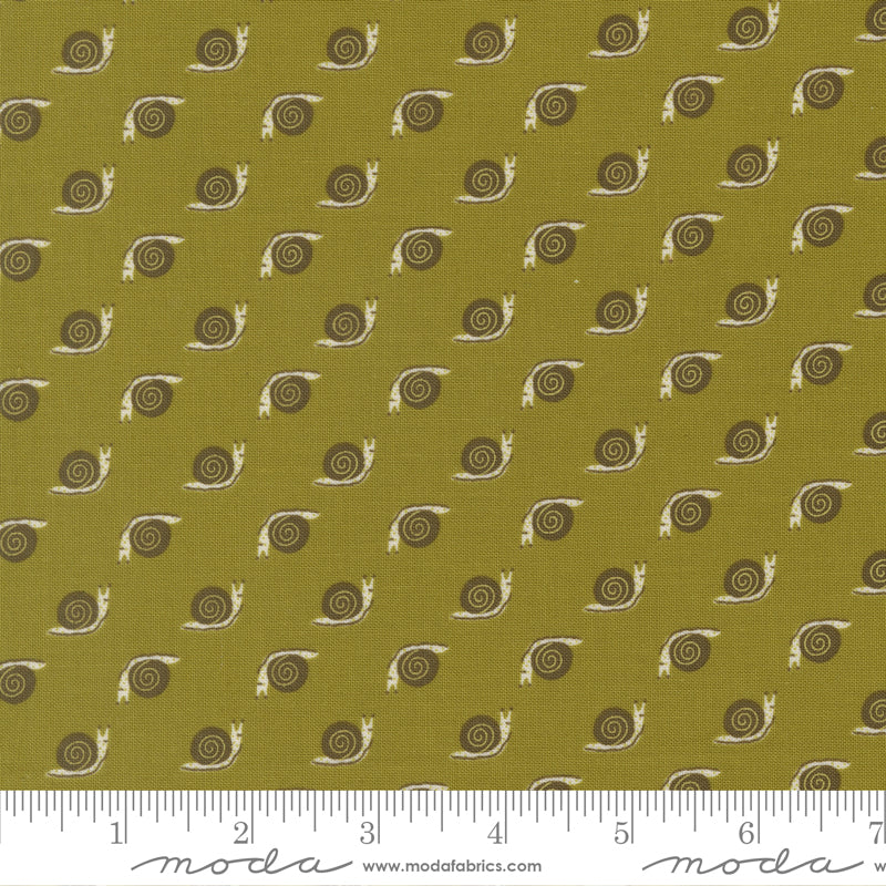 Night Owl - Snail, Fern - 48427-16