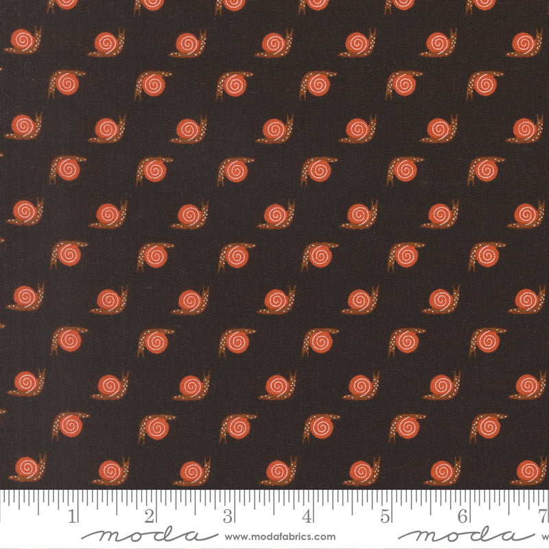 Night Owl - Snail, Midnight - 48427-24