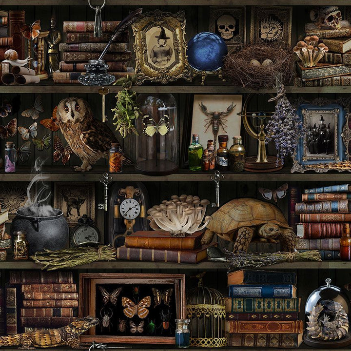 Mad Scientist - Witch Apothecary Book Shelf, BROWN - LIBRARY-CD2877