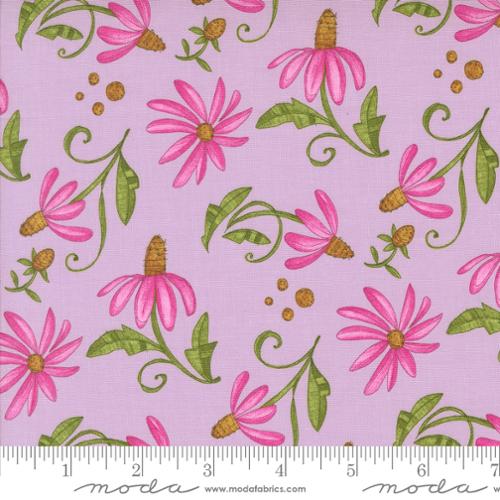Superbloom -  Daisyish, Freesia - 48783-14
