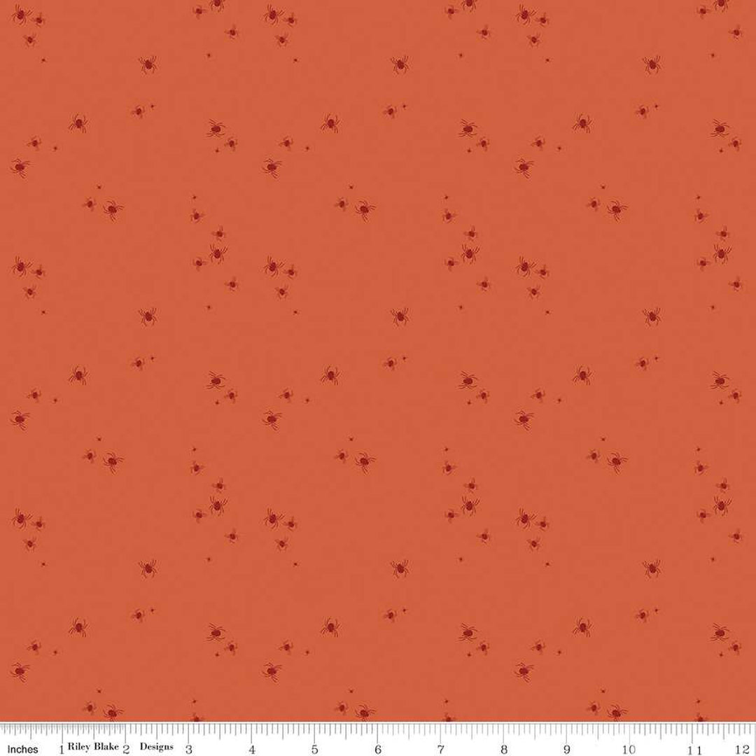Little Witch - Spider Dots, Pumpkin - C14566-PUMPKIN