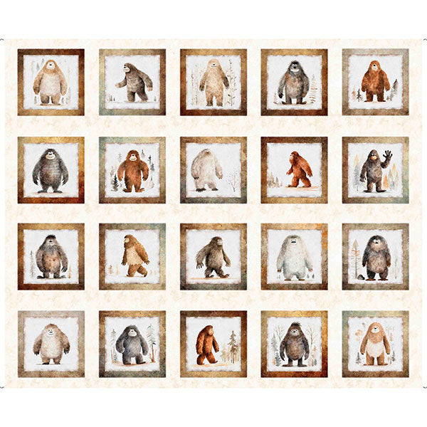 Panel 411 - Bigfoot Picture Patches