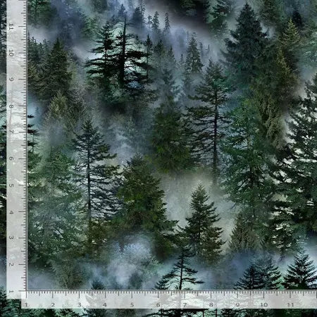 Misty Mountain - Evergreen Forest, FOREST - NATURE-CD3528